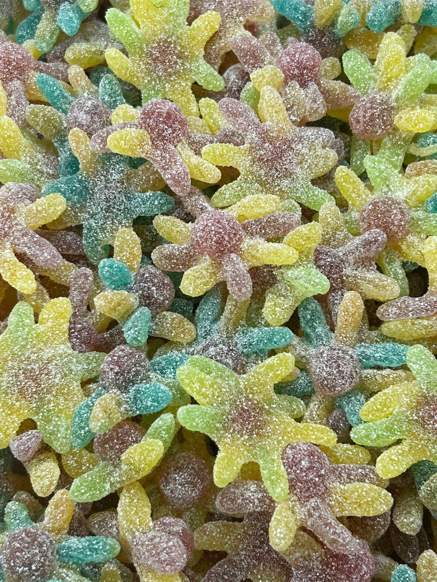 Mini octopus acidulés