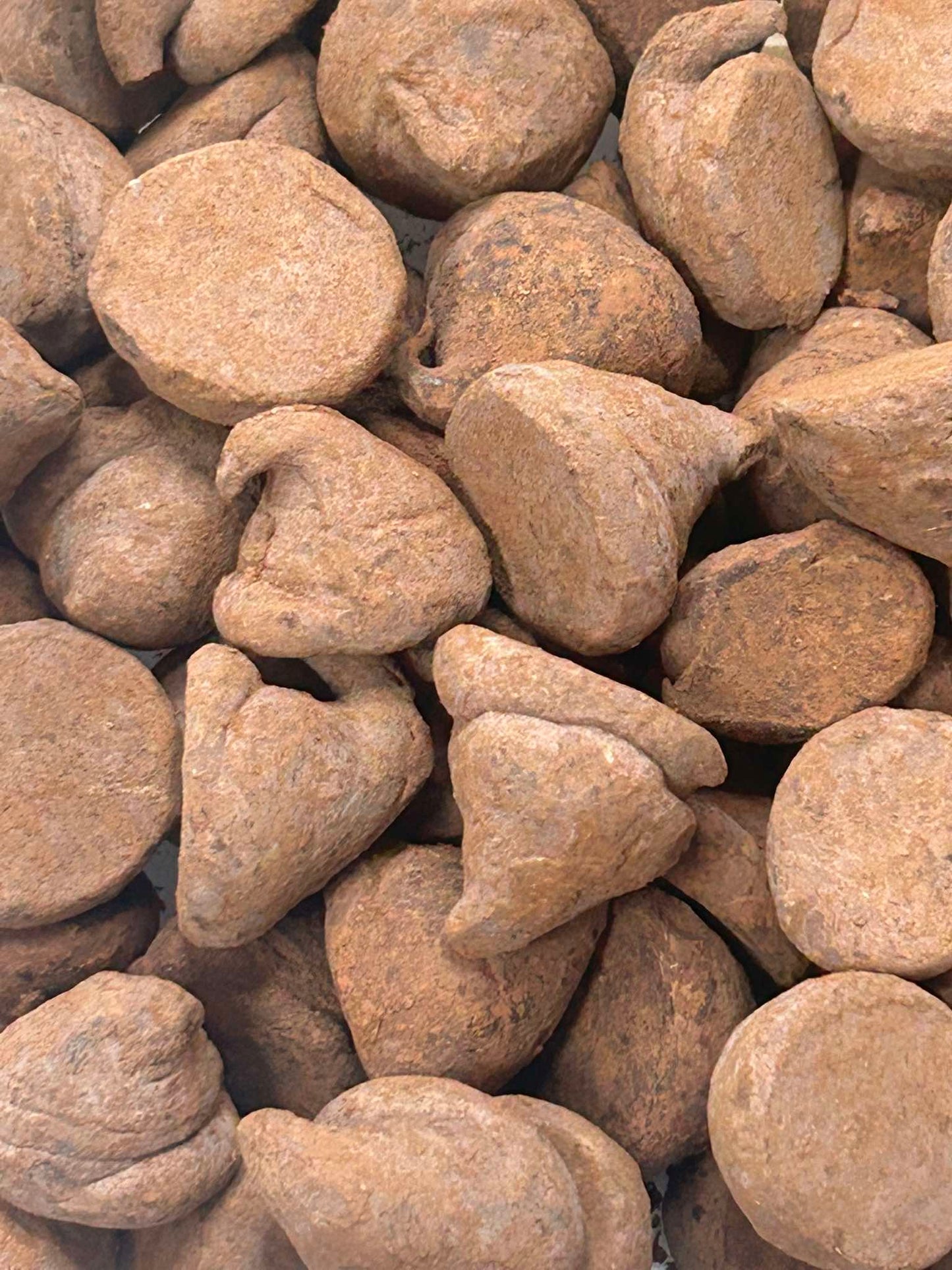 Truffes au chocolat noisettes